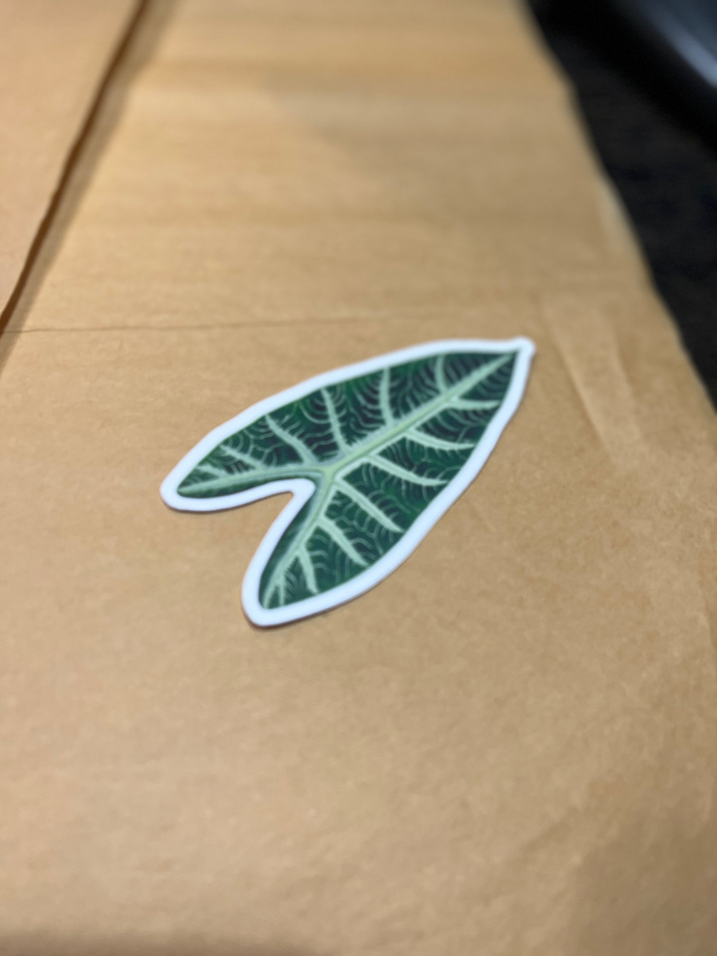 Alocasia Leaf Sticker