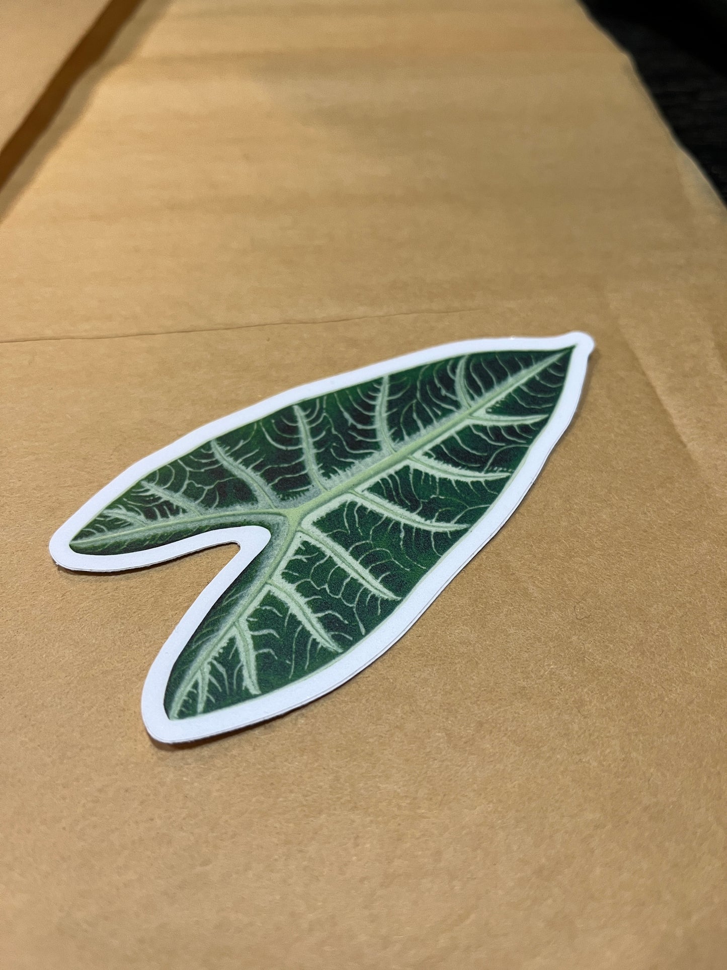 Alocasia Leaf Sticker