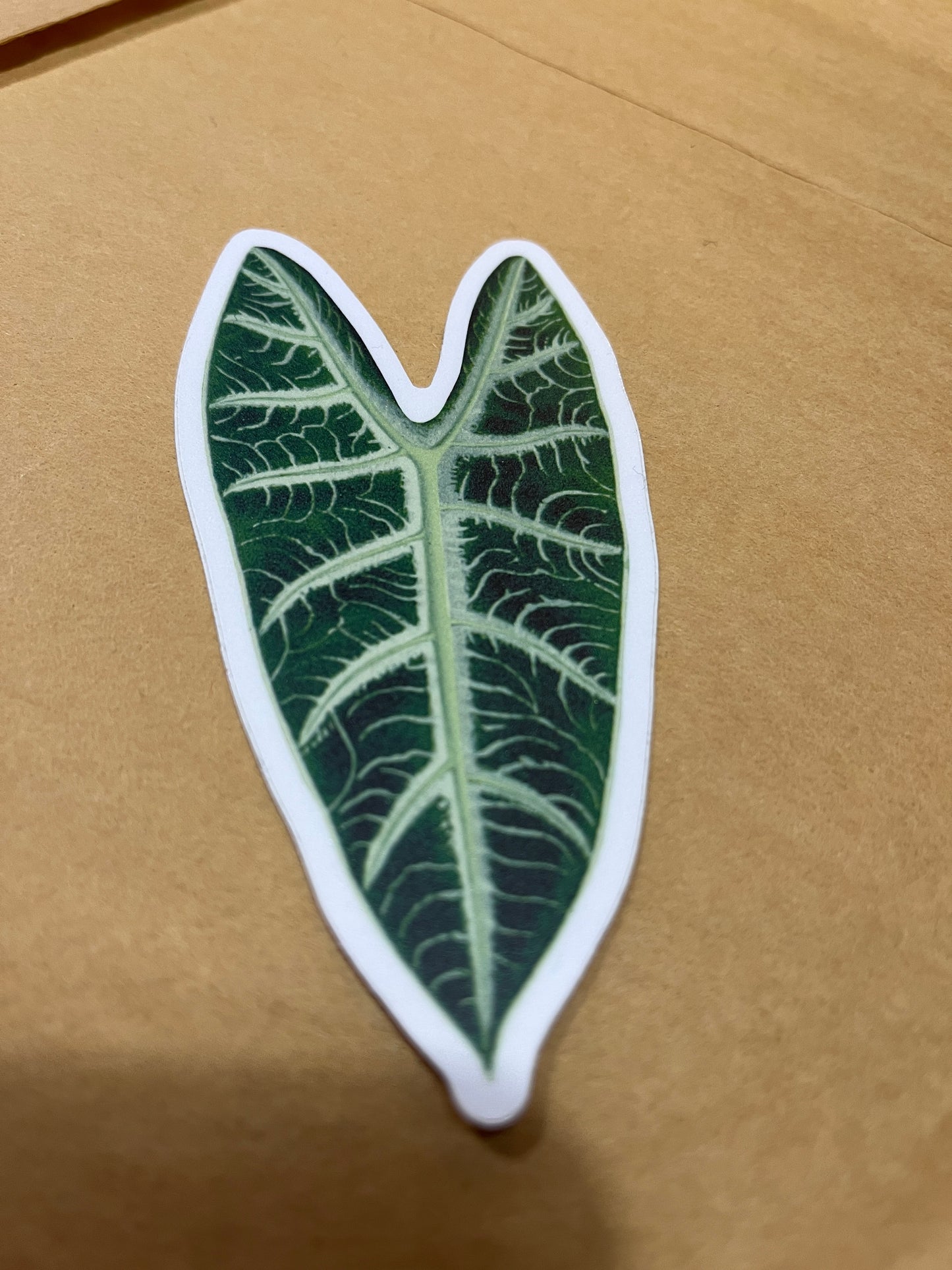 Alocasia Leaf Sticker