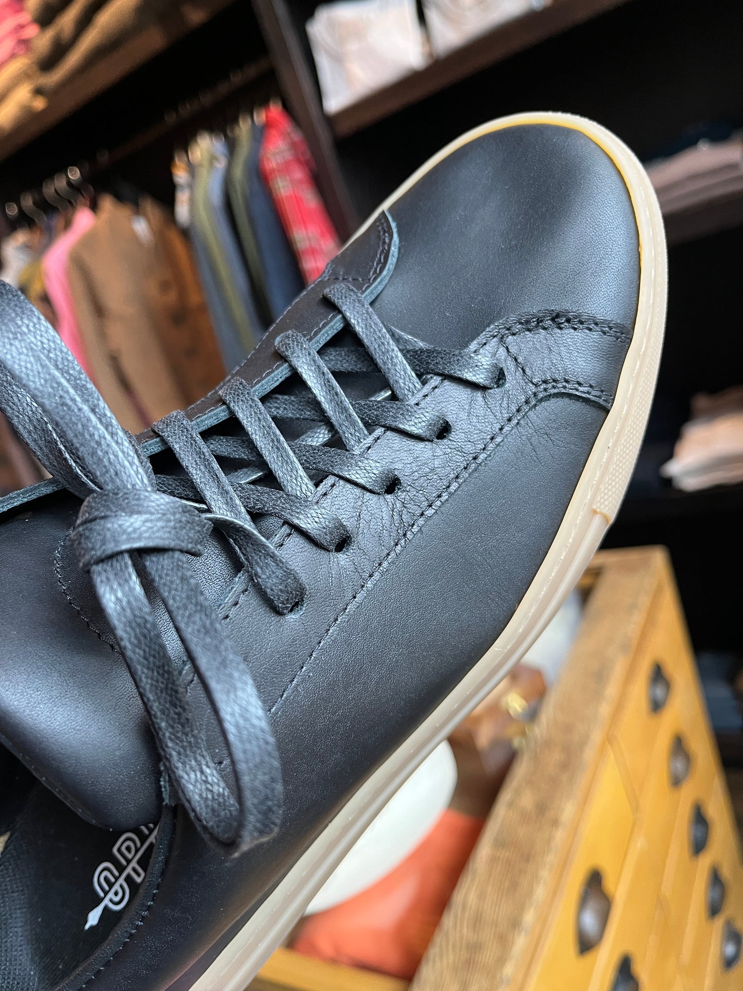James Court Lo Top Sneaker