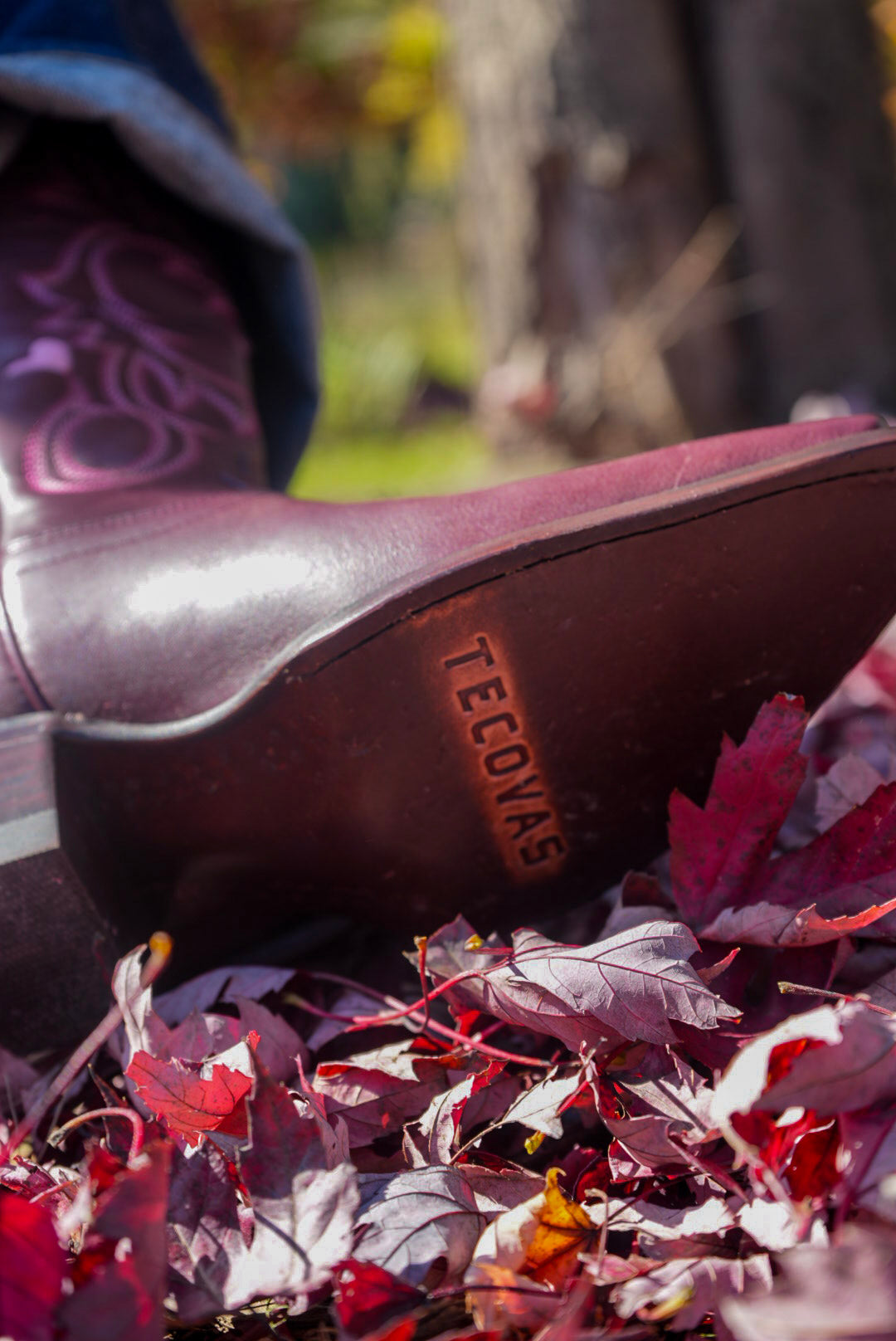 Tecovas The Annie Hearts Boot
