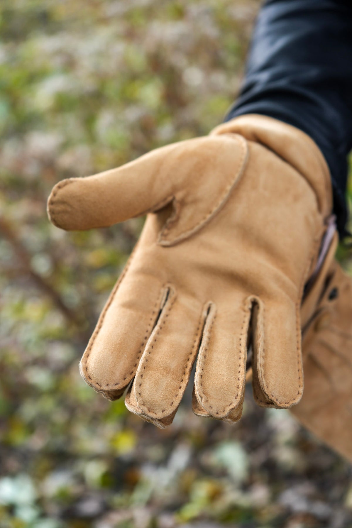 Hestra Wintson Suede Gloves