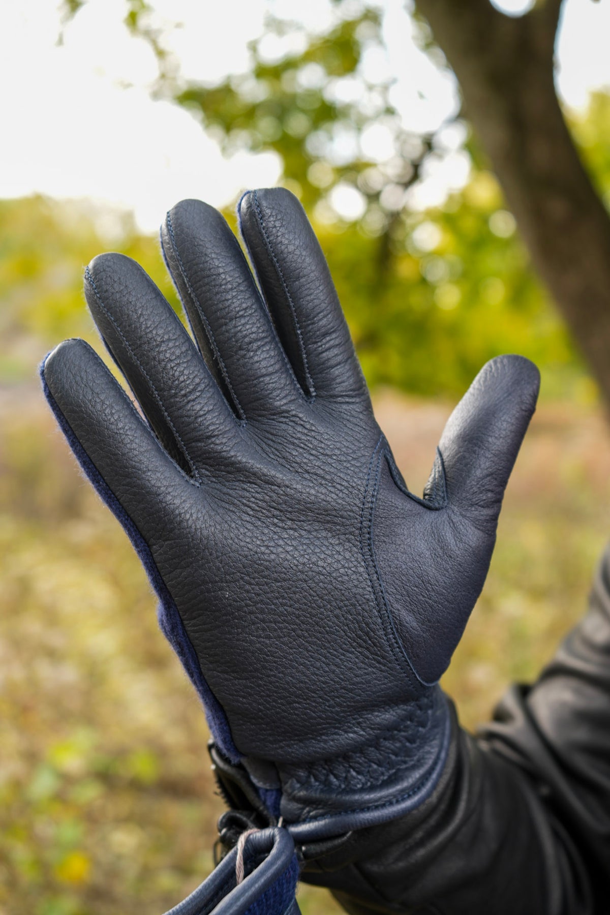 Hestra Christopher Elk Gloves