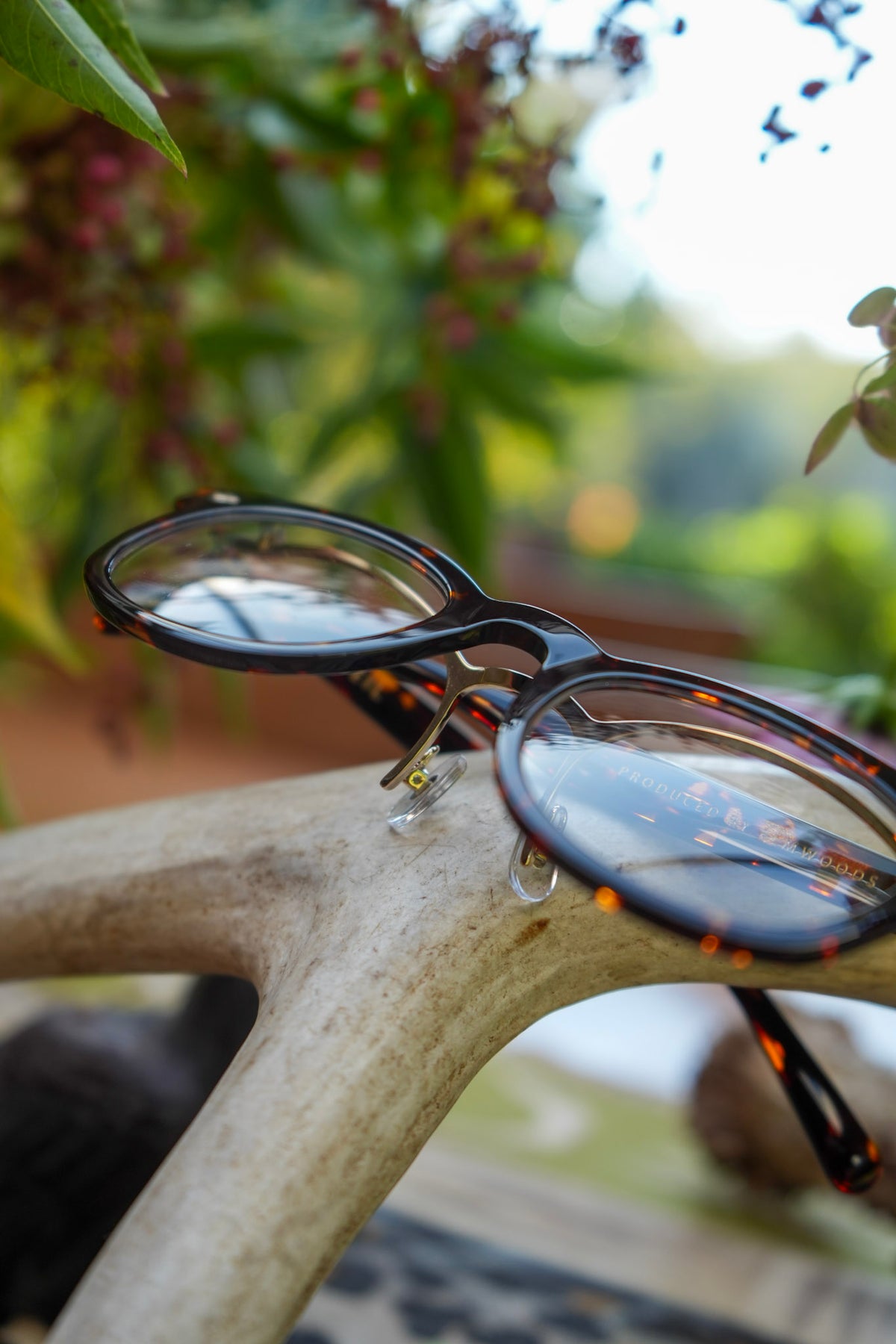 Orgueil 7358D Glasses