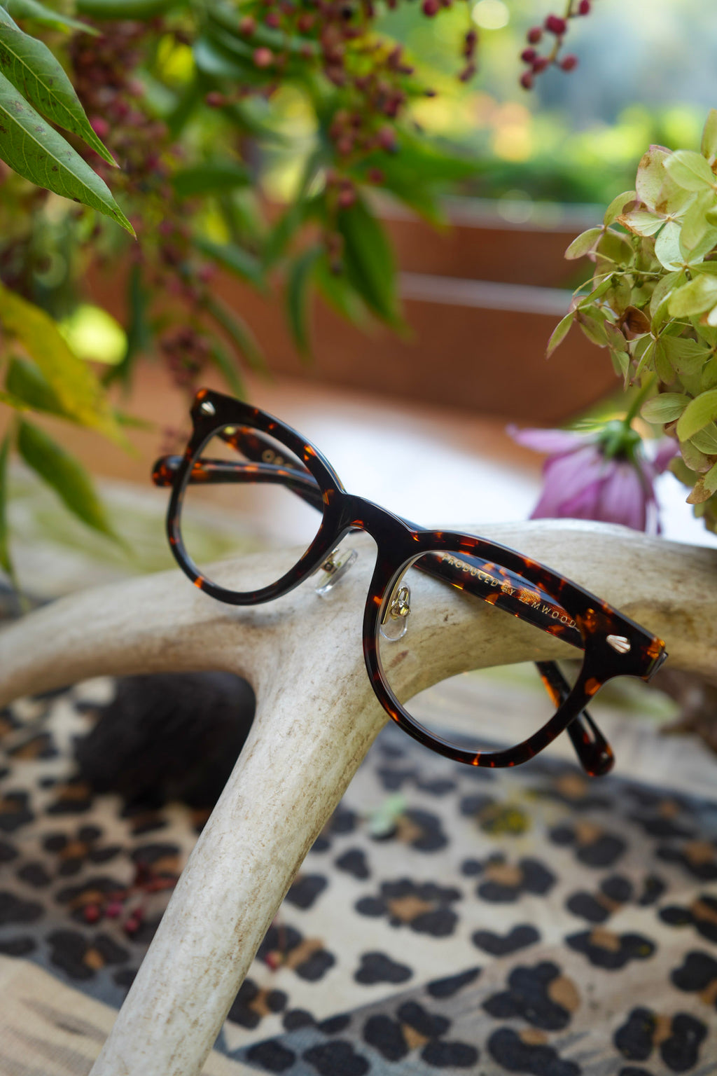 Orgueil 7358D Glasses