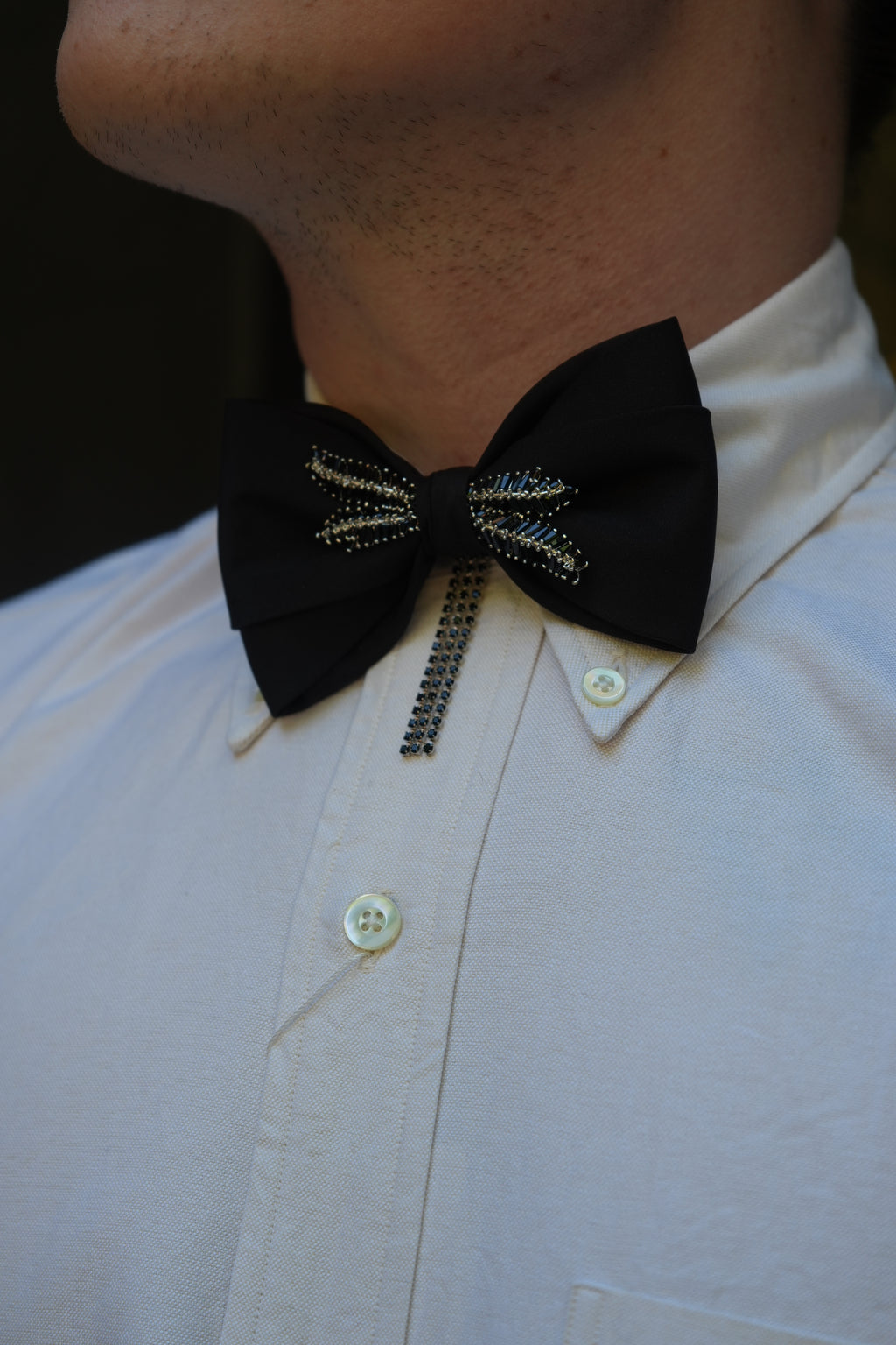 Mani Del Sud Bow Tie