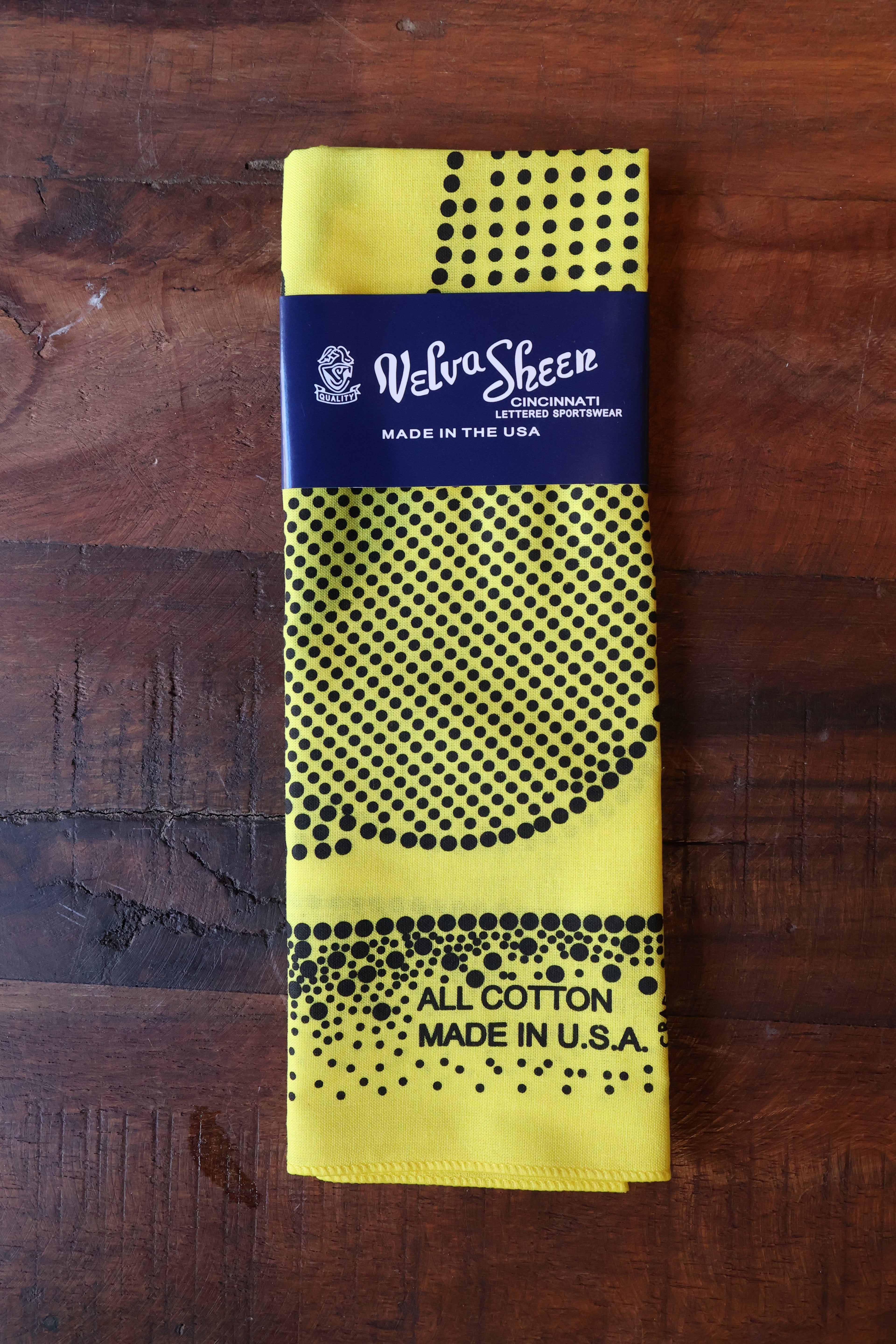 Velva Sheen Dot Bandana