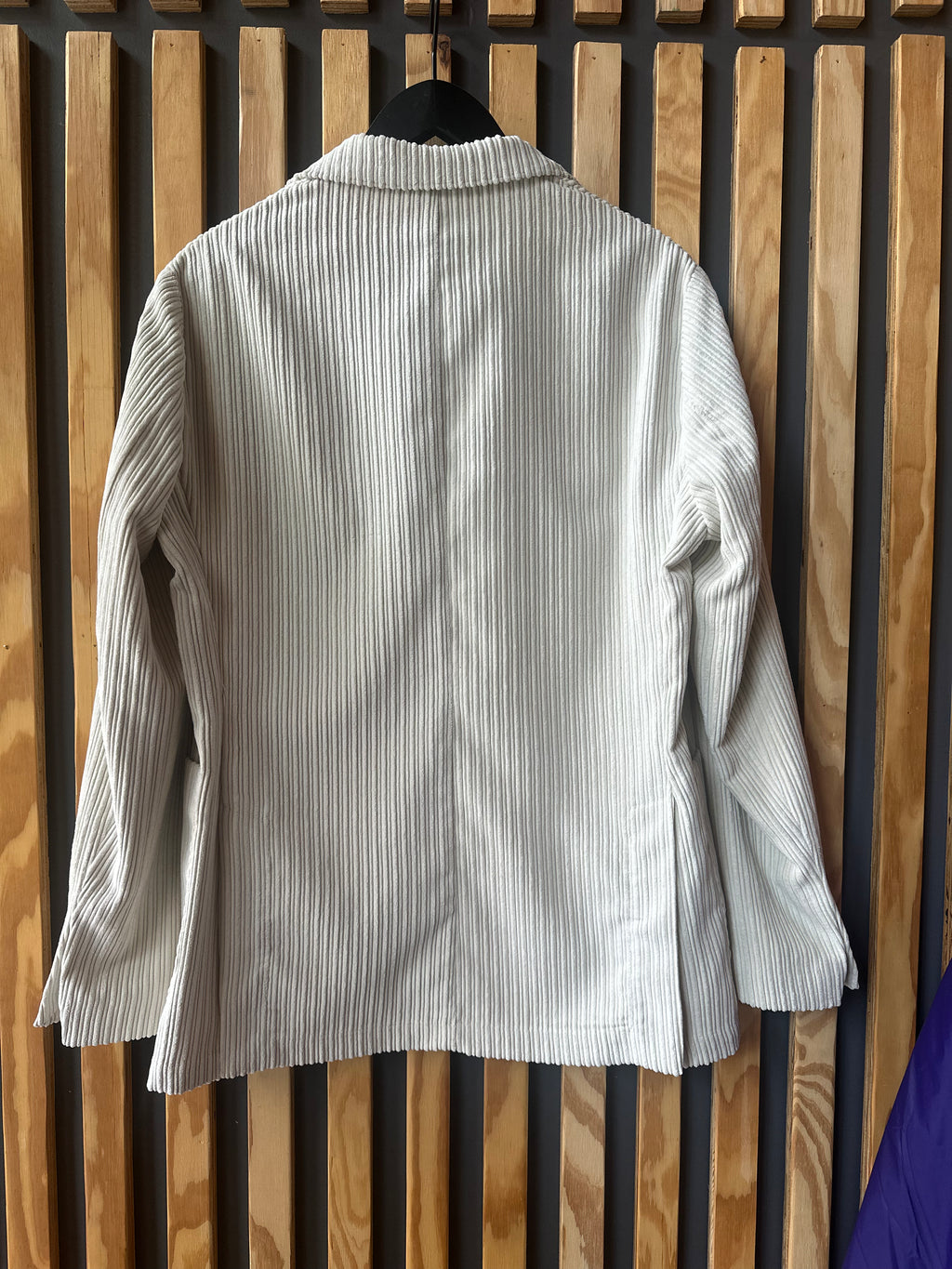 2 Button Velvet Blazer