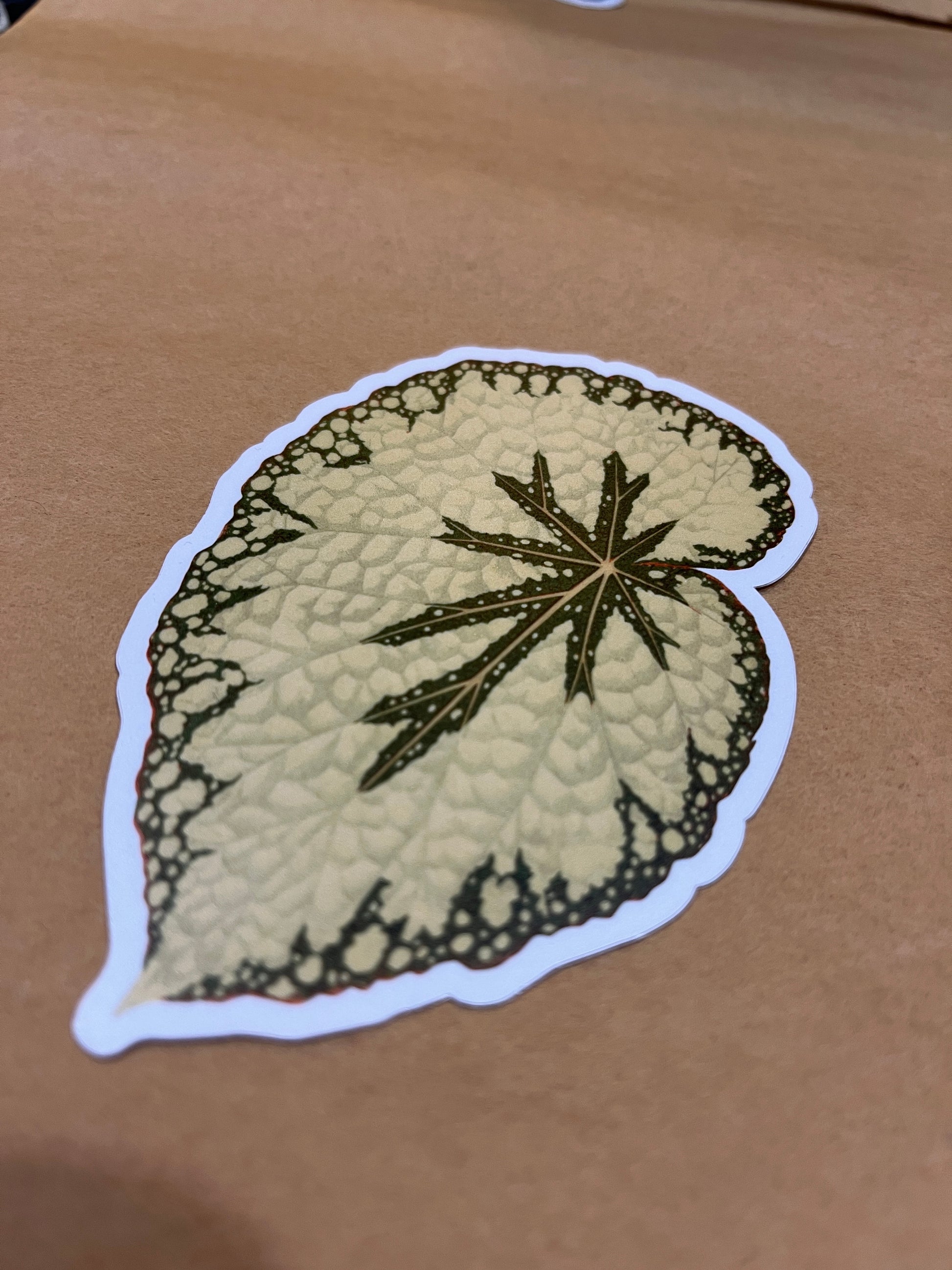 Begonia Leaf Sticker