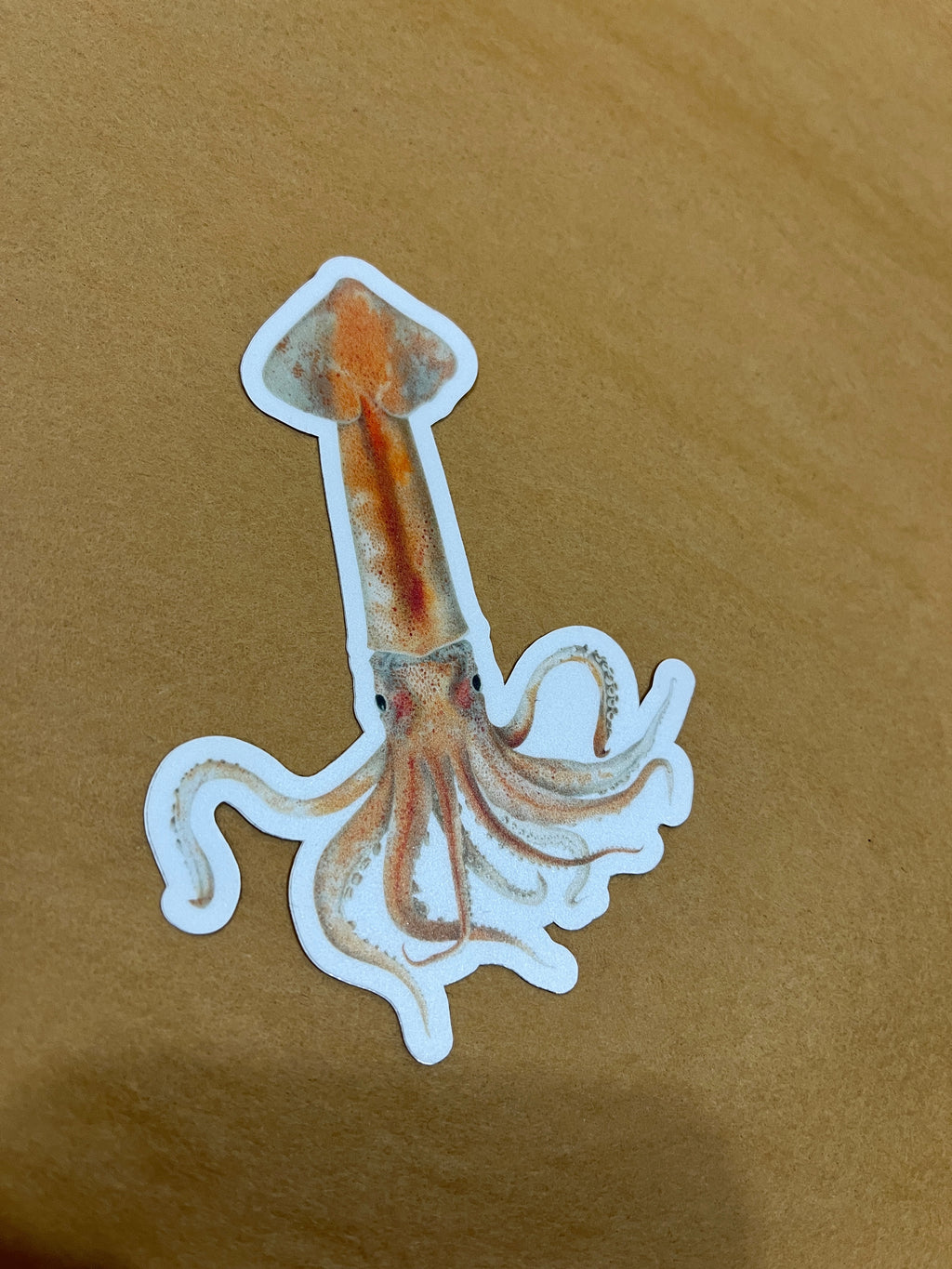 Squid Sticker