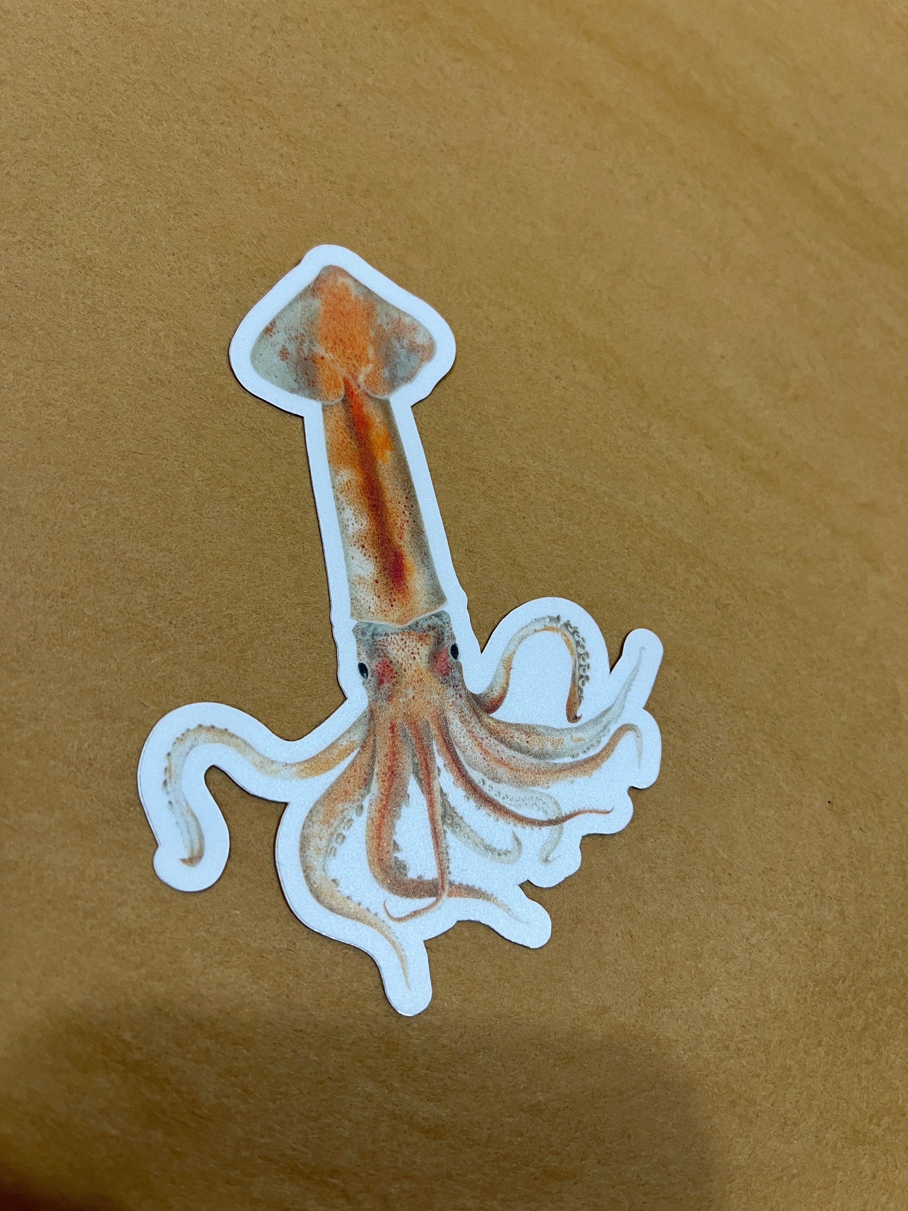 Squid Sticker