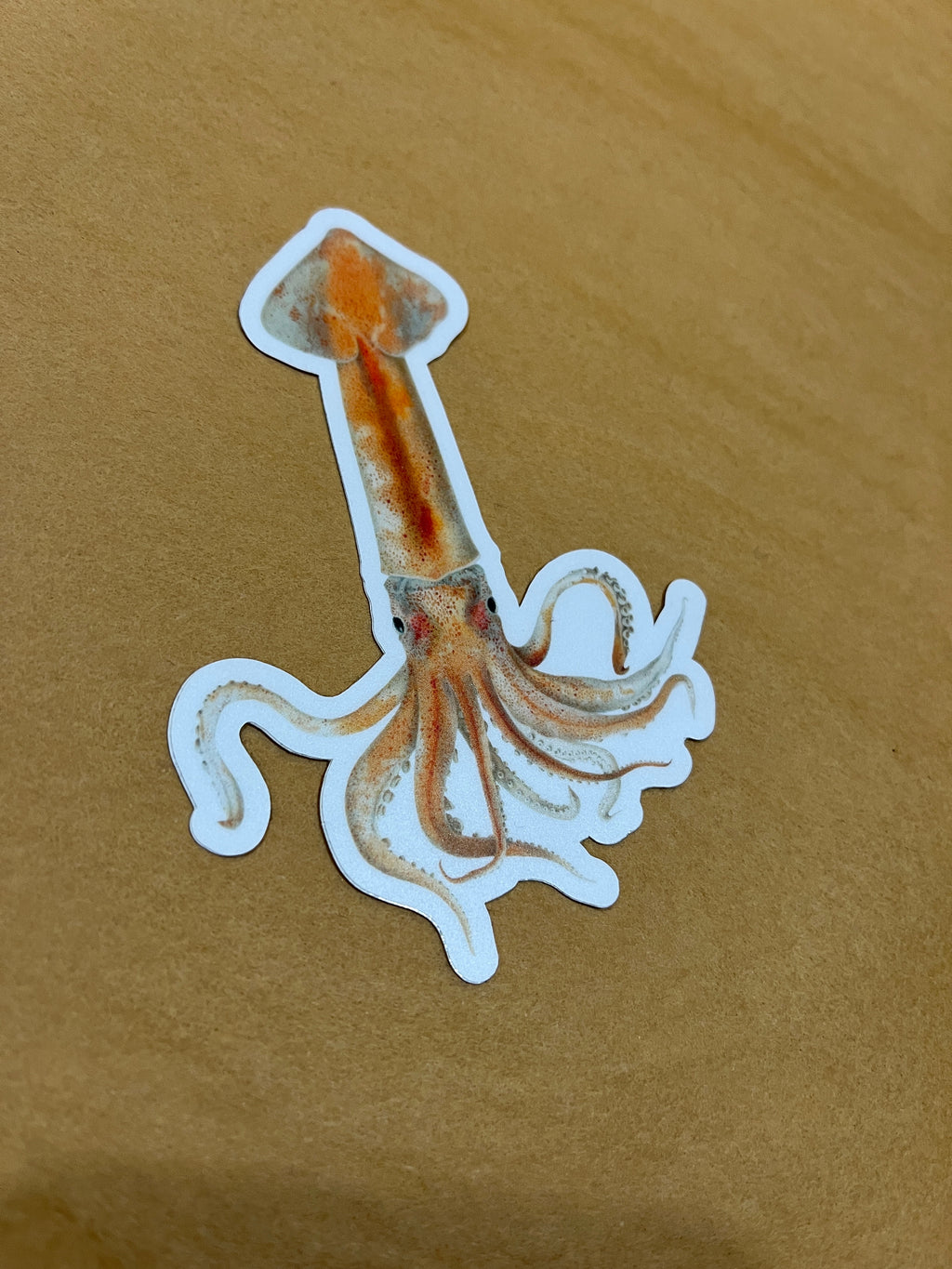 Squid Sticker