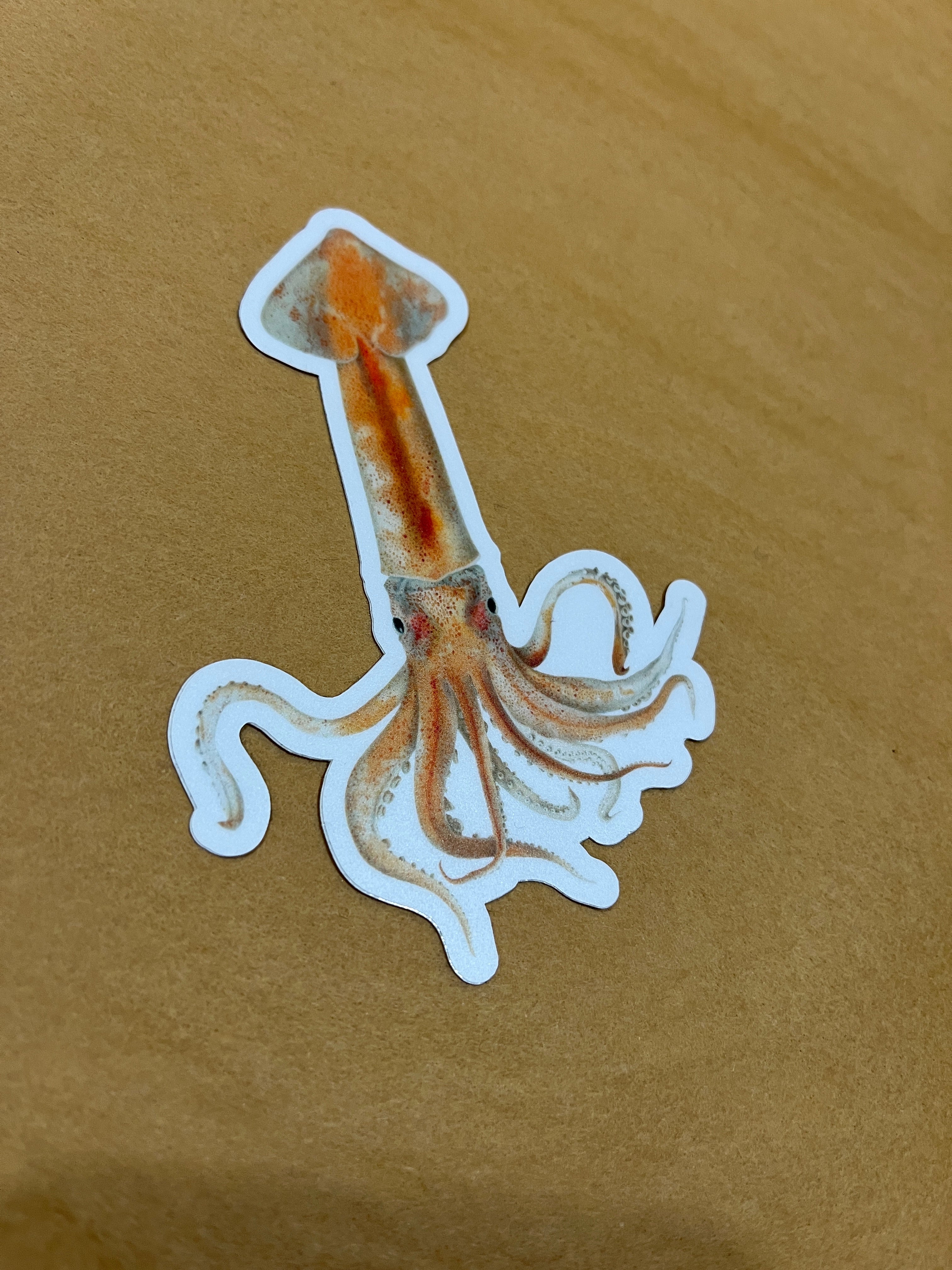 Squid Sticker