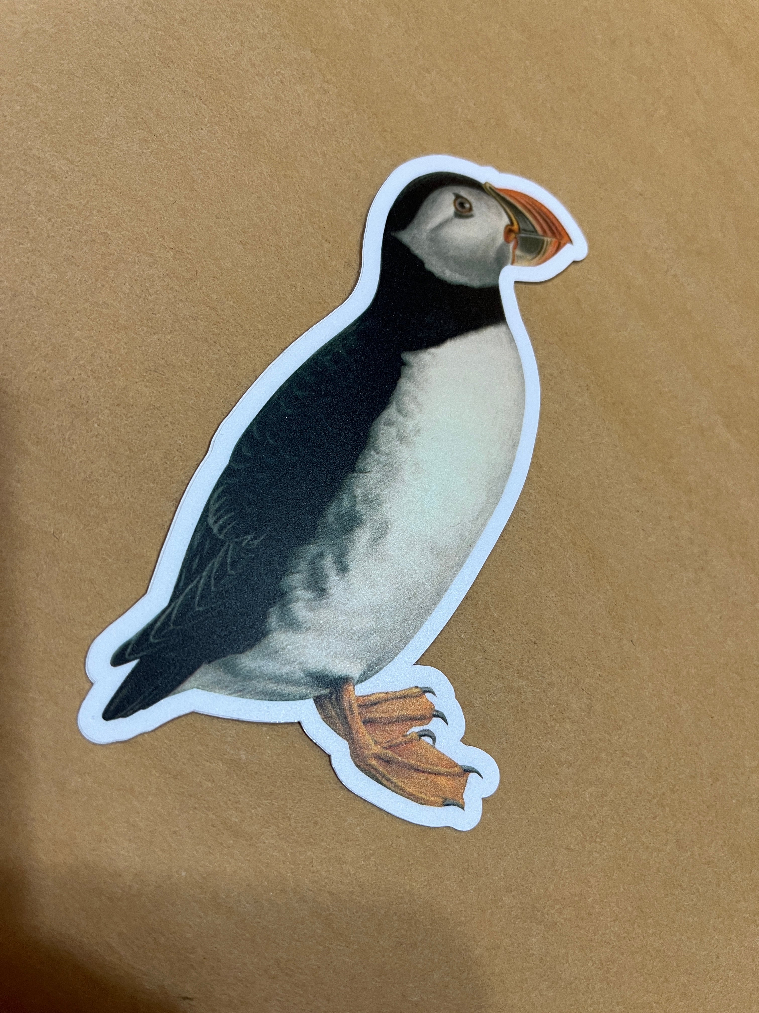 Puffin Sticker