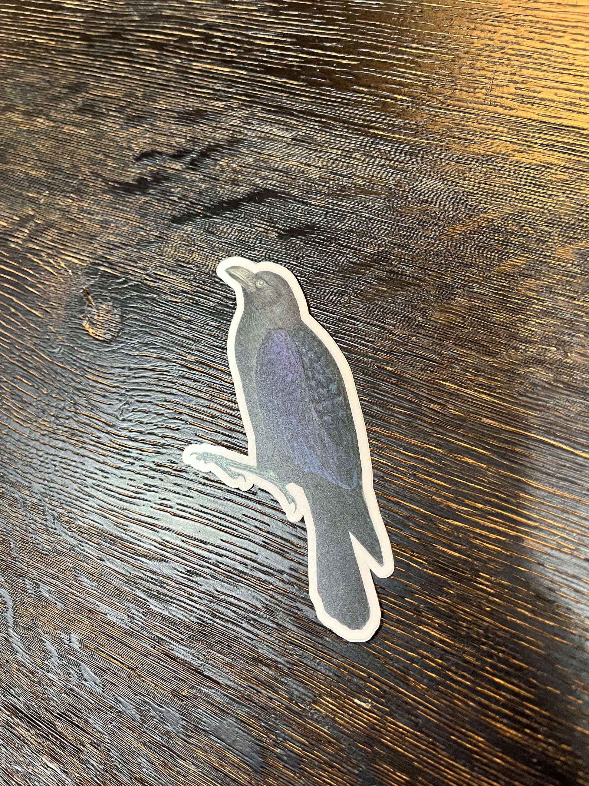 Naturalistic Raven Sticker