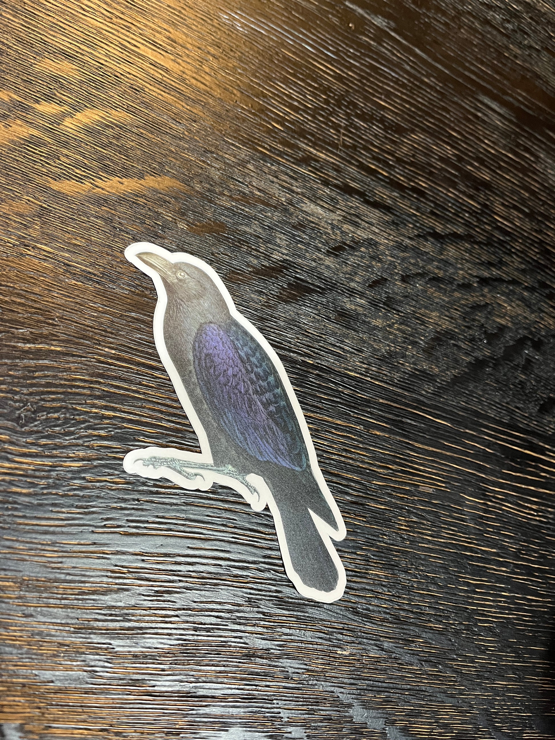 Naturalistic Raven Sticker