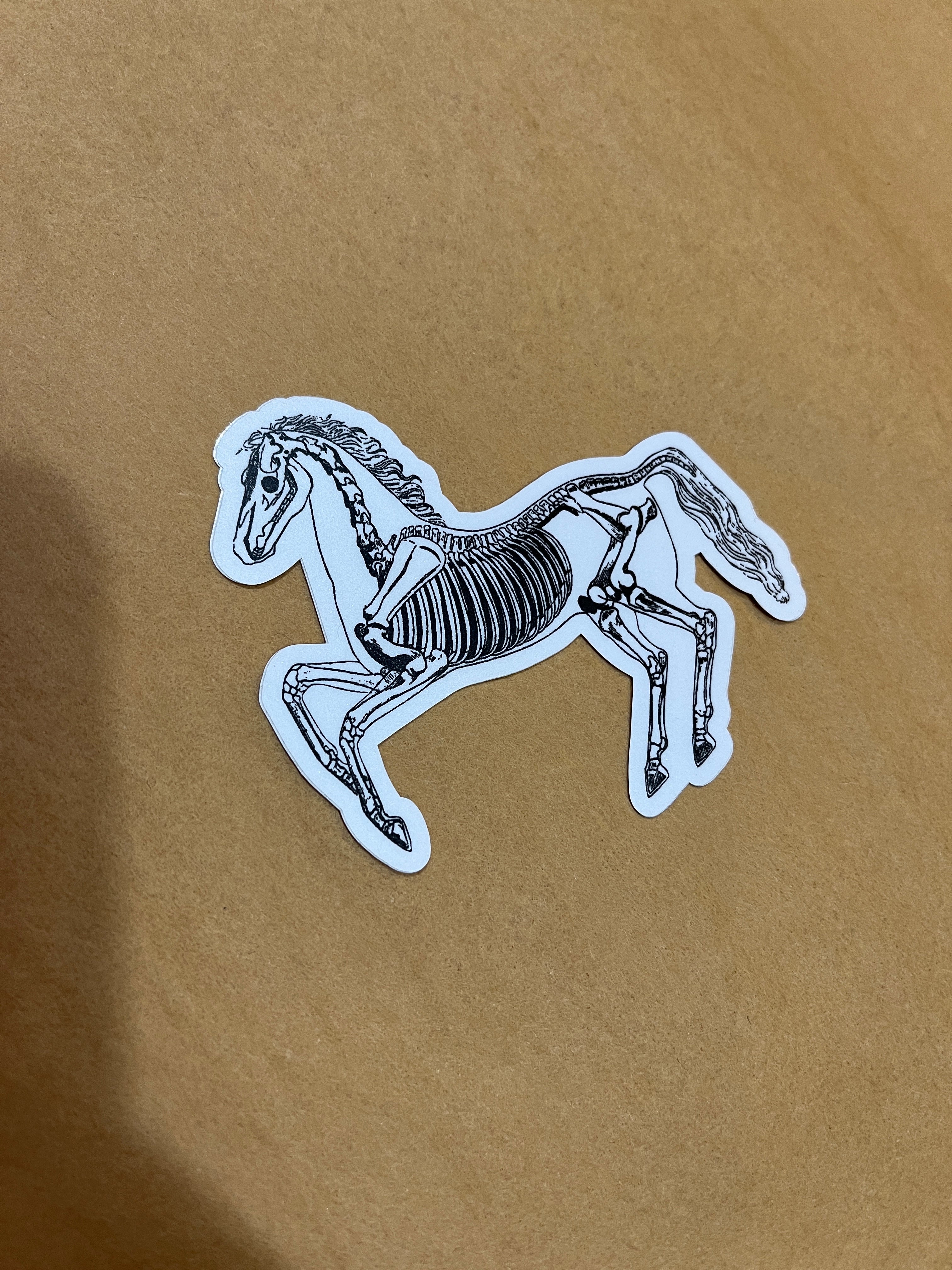 Skeleton Horse Sticker
