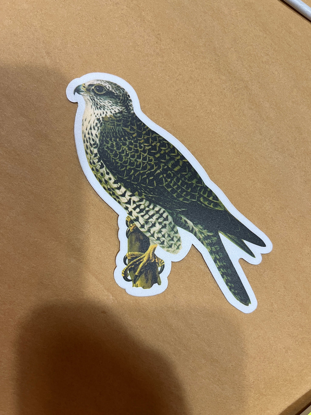 Falcon Sticker