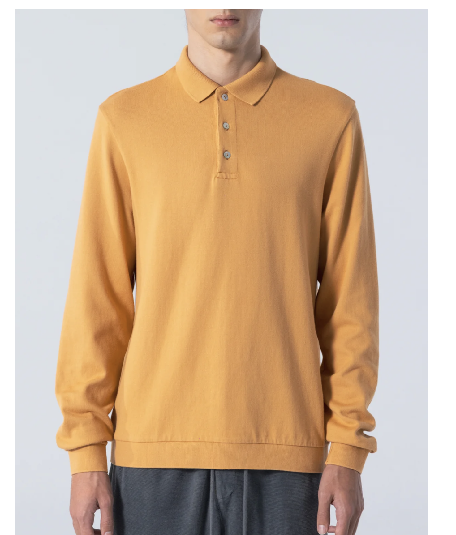 Long Sleeve Polo Shirt