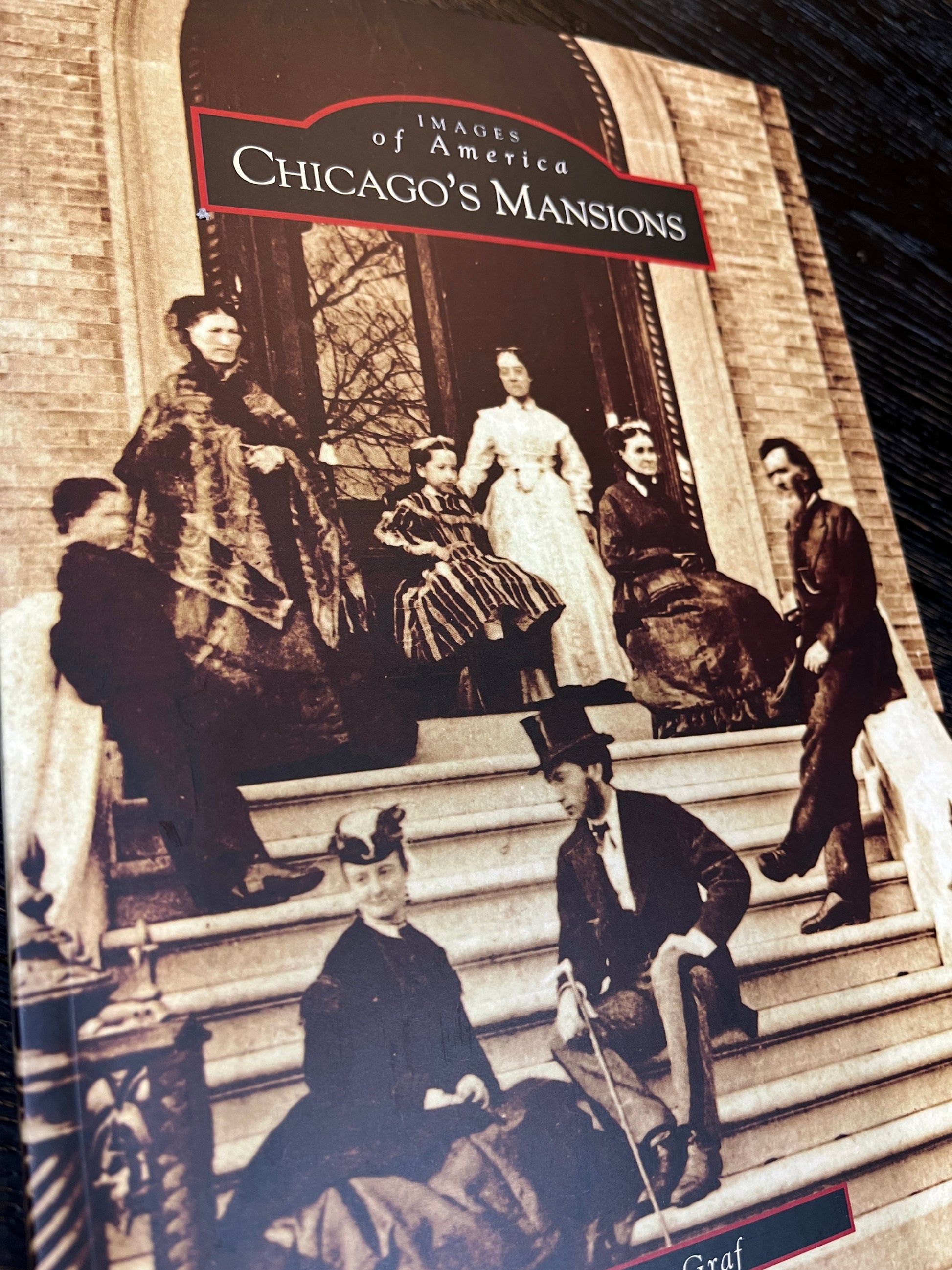 Chicago's Mansions