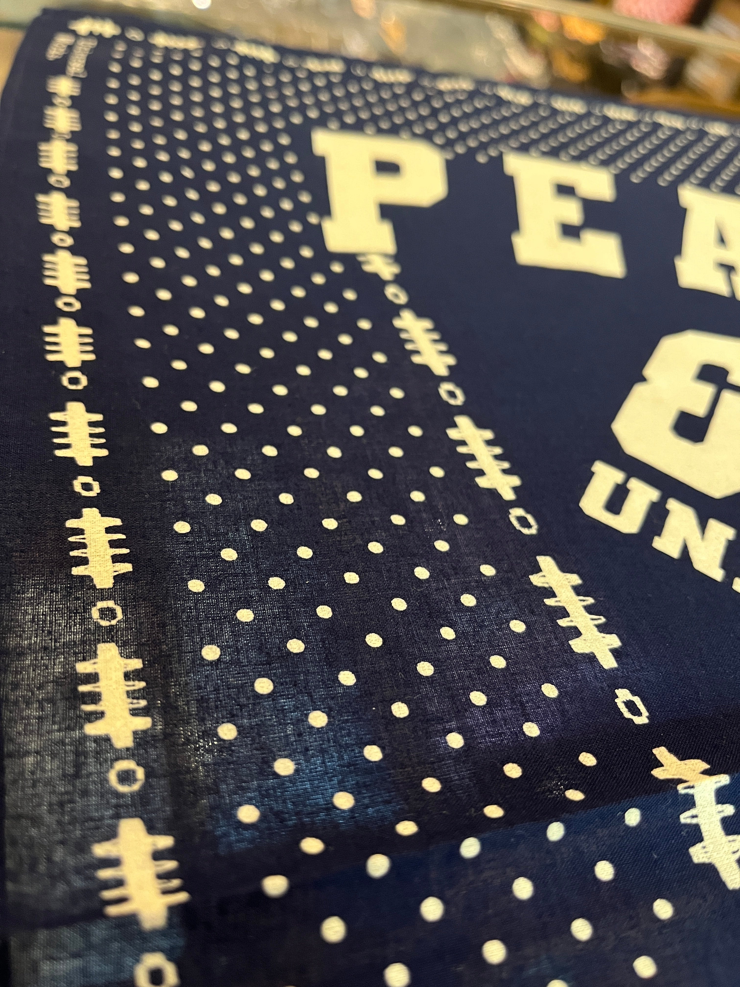 PL&S Neckerchief