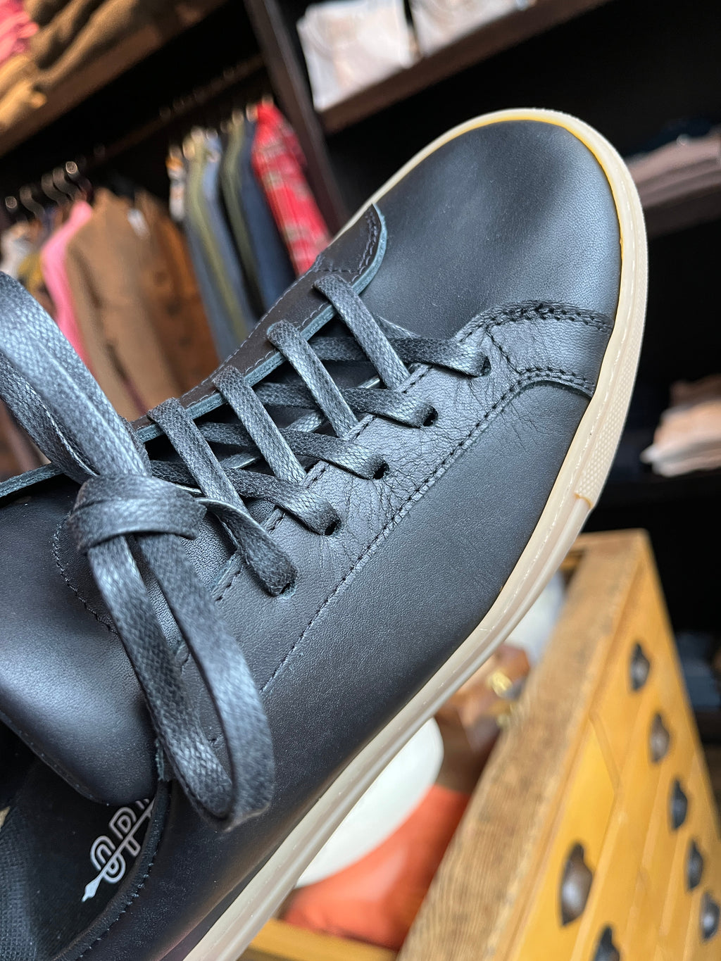 James Court Lo Top Sneaker