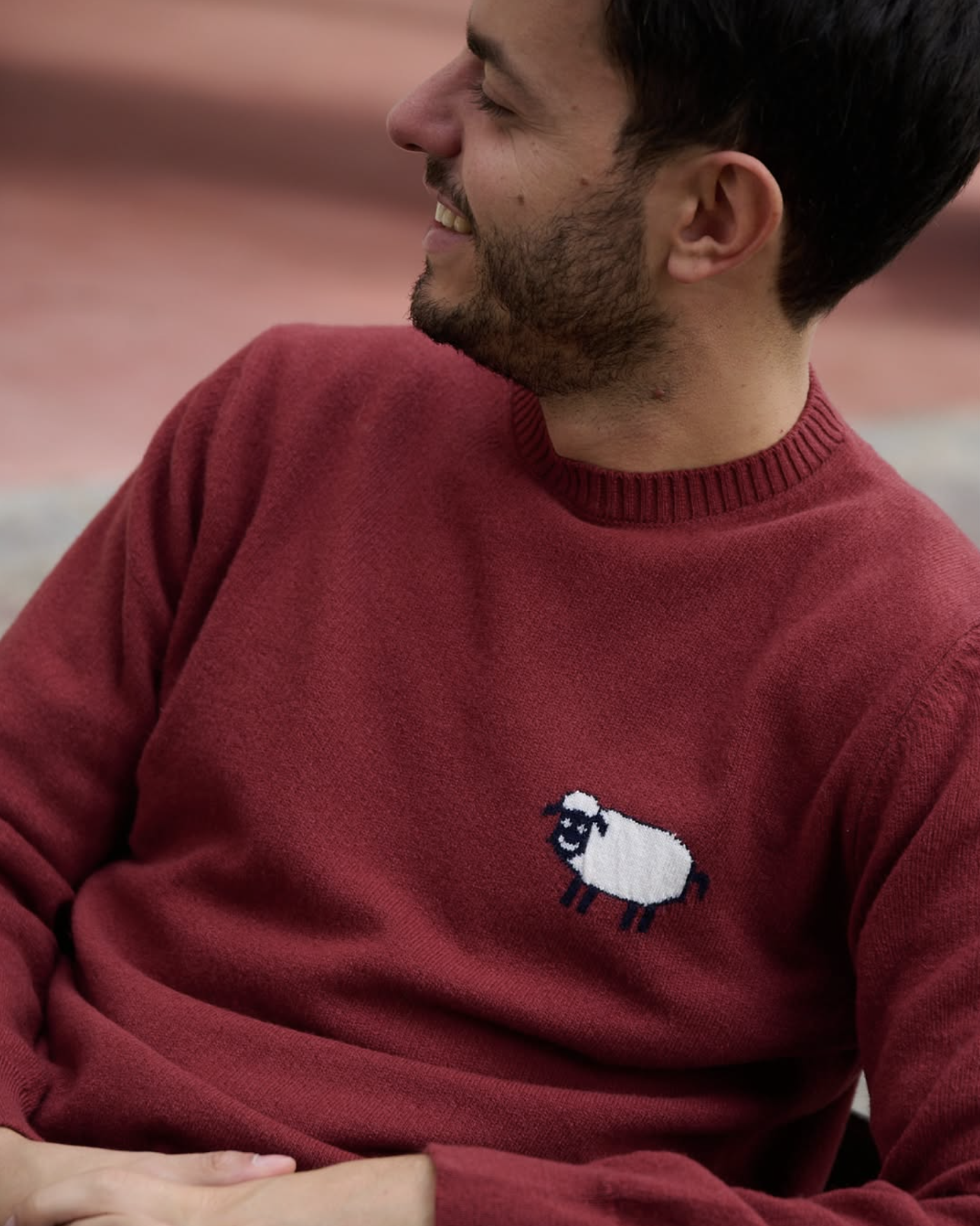 Ranald Men's L/S Roundneck Sweater