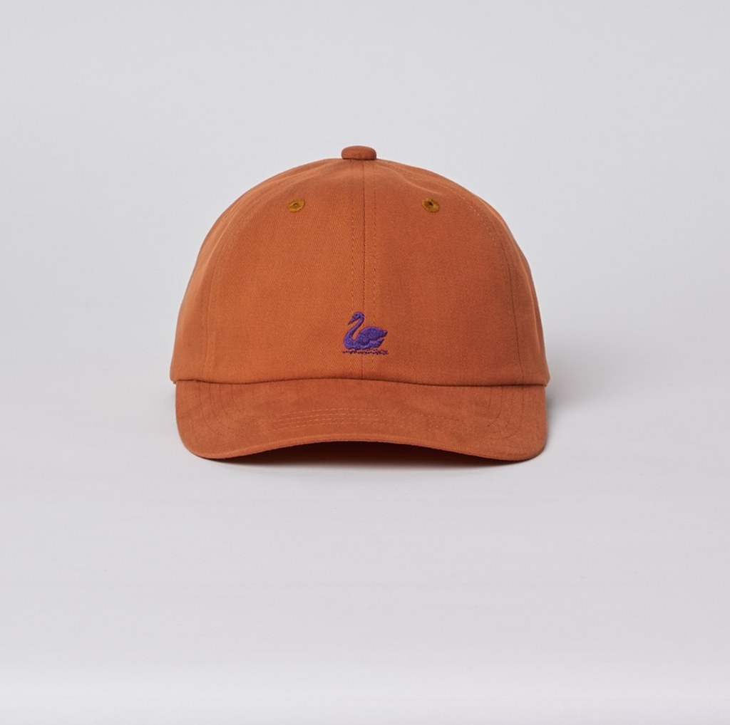 Cap01